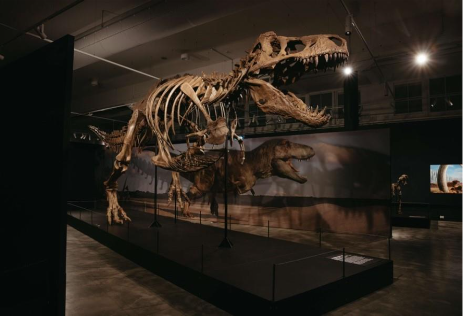 Dinosaurs Extinctions Us Science Centre Singapore Dinosaurs Extinctions Us Science Centre Singapore