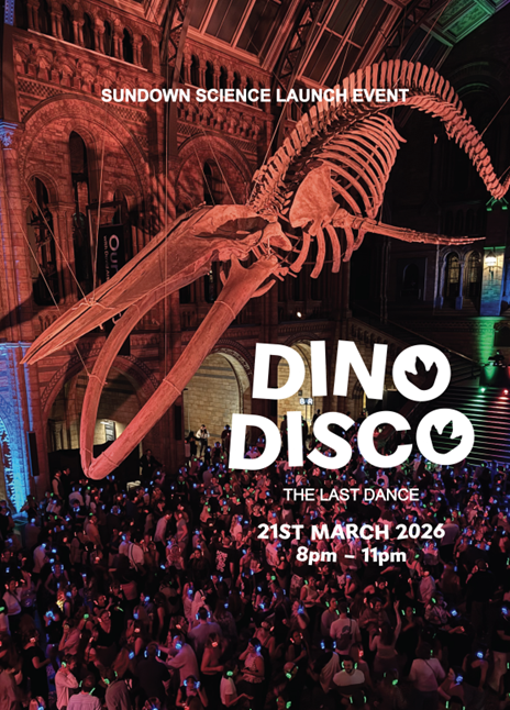 dino-disco-dinosaurs-extinctions-us-teaser-image-homepage