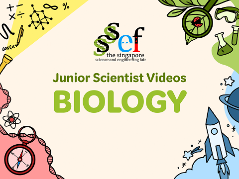 BiologyJunior scientist cover