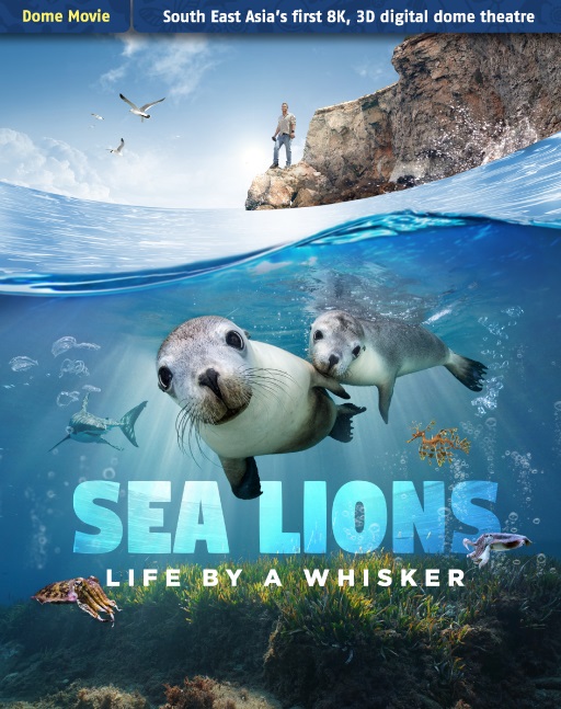 512x647_Sea Lions OT Homepage Carousel