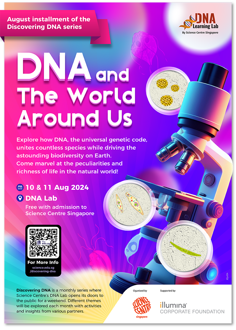 Discovering DNA-Jun-DNA and The World Around Us (e-poster)