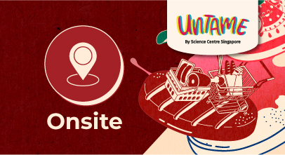 UNTAME 2023 (Web Teasers) - Onsite
